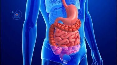 Cách nhận biết sức khỏe hệ tiêu hóa từ thói quen đại tiện nhiều lần trong ngày