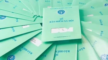 Long An: Tăng cường thực hiện chính sách bảo hiểm xã hội, bảo hiểm y tế, bảo hiểm thất nghiệp