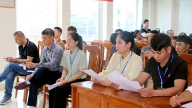 Hơn 10.000 lao động vùng cao Yên Bái được giải quyết việc làm