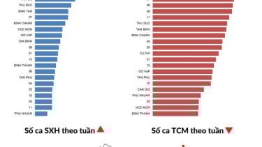Tình hình dịch bệnh sốt xuất huyết, tay chân miệng và sởi tại TP.HCM