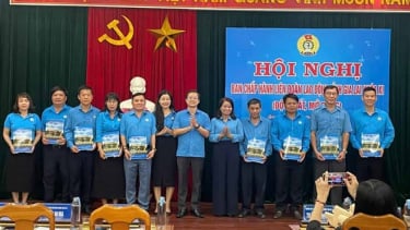Công đoàn Gia Lai tiếp nhận 343 công đoàn cơ sở khu vực doanh nghiệp