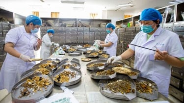 Quy định về đăng ký lưu hành thuốc cổ truyền, dược liệu