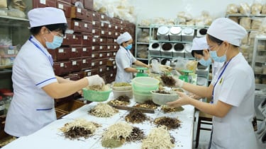 Hướng dẫn thanh toán BHYT đối với thuốc y học cổ truyền