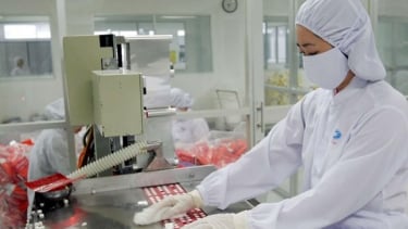 Bộ Y tế quy định mới nhất trình tự đánh giá thực hành tốt sản xuất thuốc, nguyên liệu làm thuốc