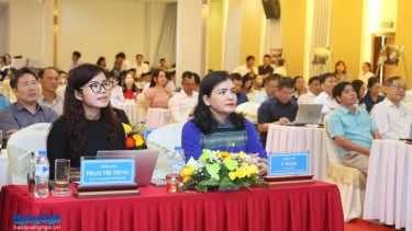 Kết nối, hợp tác phát triển du lịch Quảng Ngãi