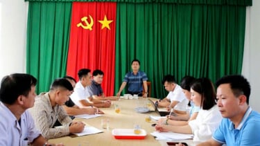 Hà Tĩnh ghi nhận ca sốt rét ngoại lai có nguy cơ phát sinh ca bệnh thứ cấp