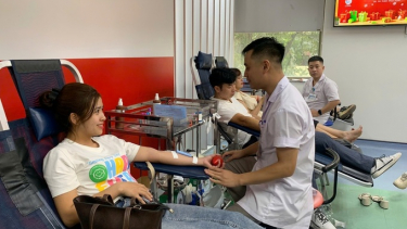 Cần thêm 30.000 đơn vị máu điều trị cho bệnh nhân dịp hè