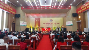Chuyển đổi số cấp cơ sở: Phường Hoàng Mai tiên phong trong giai đoạn mới