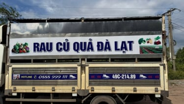 Đắk Lắk: Phát hiện xe tải chở gần 100 con lợn nhiễm dịch tả lợn châu Phi trá hình dưới xe chở rau củ