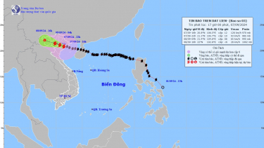 Khẩn cấp: Bão trên đất liền Quảng Ninh-Hải Phòng cấp 11 - 12, giật cấp 15