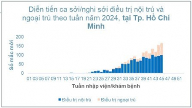 TP. HCM: Tình hình dịch bệnh sởi tính đến tuần 45