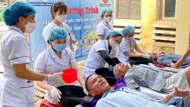 Cắt tóc miễn phí nơi giường bệnh: Nơi lòng người ấm lại