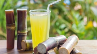 Uống 3 cốc nước mía mỗi ngày để chữa đái tháo đường, cụ bà nhập viện