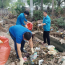 Tăng cường công tác bảo vệ môi trường trên địa bàn tỉnh Đắk Lắk