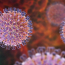 Đắk Nông: Tăng cường công tác phòng chống bệnh tiêu chảy do virus Rota