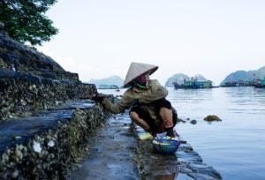 Phượt Hạ Long: Thế Giới Tuyệt Vời Của Hang Động và Biển Cả