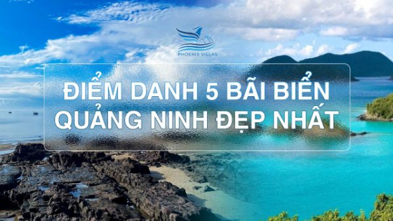 ĐIỂM DANH 5 BÃI BIỂN QUẢNG NINH ĐẸP NHẤT