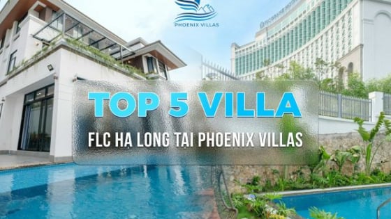 Top 5 Villa FLC Hạ Long Tại Phoenix Villas