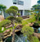 Villa FLC Hạ Long BT934: 6 phòng ngủ, view biển, karaoke