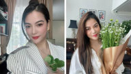 Trương Ngọc Ánh bật mí chăm chỉ ăn loại gạo này để giữ gìn sắc vóc chuẩn từng centimet