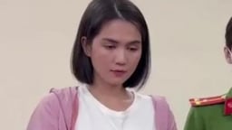 'Người của công chúng' vướng vòng lao lý và những bản án chấn động showbiz năm 2023