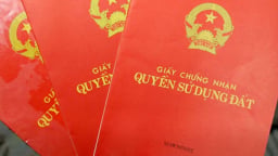 Có thể bị phạt lên đến 100 triệu đồng nếu vi phạm quy định này liên quan đến Sổ đỏ