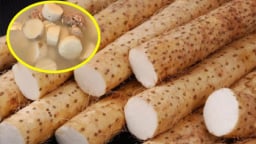 Loại củ phơi khô rất sẵn ở Việt Nam, là 'thuốc trường thọ' giúp dưỡng thận, kiểm soát đường huyết