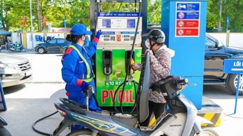 Nhận diện các phương tiện chưa tương thích với xăng E10