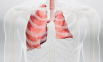 Thông tin Y khoa: Xẹp phổi (Tên Tiếng Anh: Atelectasis)