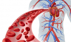 Thông tin Y khoa: Cung lượng tim (Tên Tiếng Anh: Cardiac output)