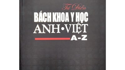 Từ điển Bách khoa Y học Anh - Việt (A - Z)