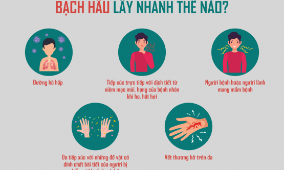 Bệnh bạch hầu lây nhiễm như thế nào?